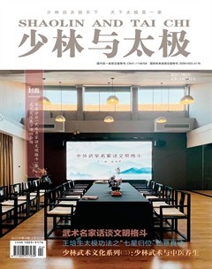 少林与太极