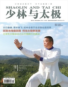 少林与太极