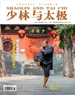 少林与太极
