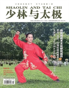 少林与太极