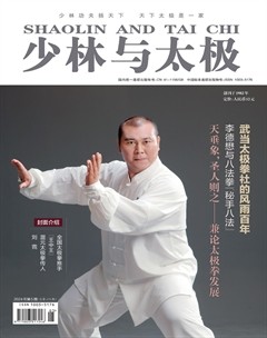 少林与太极