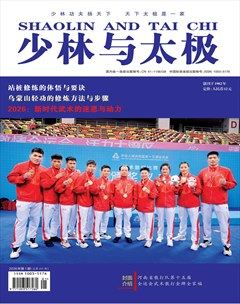 少林与太极