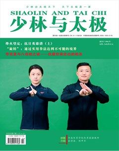 少林与太极