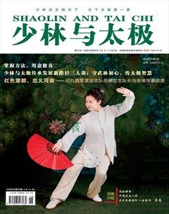 少林与太极