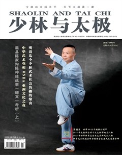 少林与太极