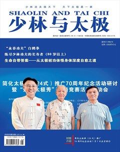 少林与太极