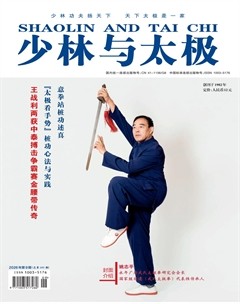 少林与太极