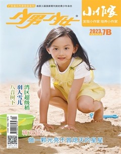 少男少女·小作家