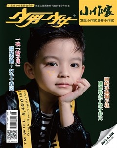 少男少女·小作家