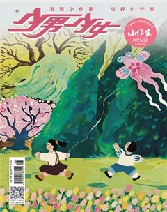 少男少女·小作家