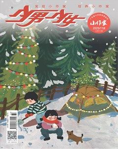 少男少女·小作家