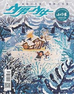 少男少女·小作家