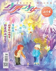 少男少女·小作家