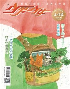 少男少女·小作家