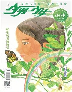 少男少女·小作家