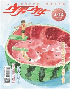 少男少女·小作家