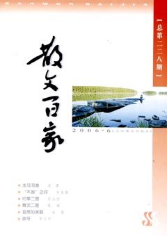 2006年第6期