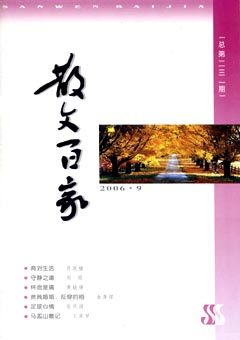 2006年第9期