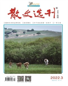 散文选刊·下半月