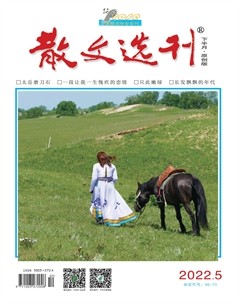 散文选刊·下半月