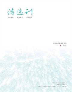 诗选刊