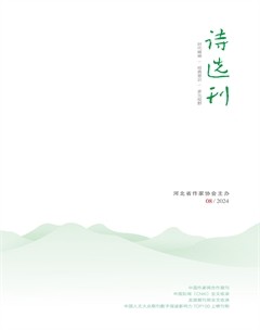 詩(shī)選刊