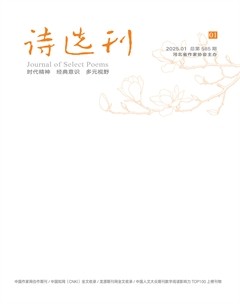 詩(shī)選刊