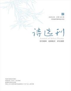 诗选刊