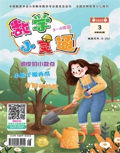 数学小灵通·教研版