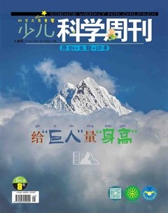 少儿科学周刊·儿童版