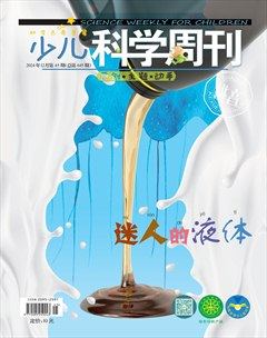 少儿科学周刊·儿童版