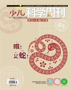 少儿科学周刊·儿童版