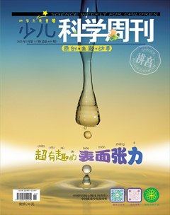少儿科学周刊·儿童版