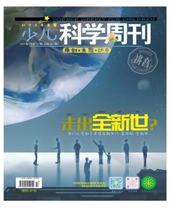 少儿科学周刊·儿童版