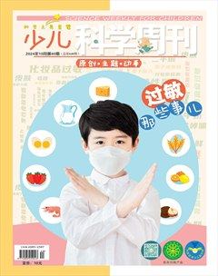 少兒科學周刊·少年版