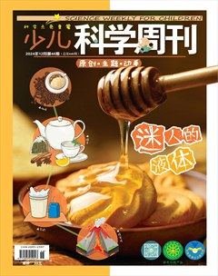少儿科学周刊·少年版