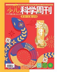 少儿科学周刊·少年版