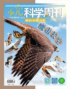 少儿科学周刊·少年版