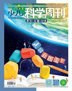 少儿科学周刊·少年版