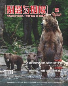摄影与摄像