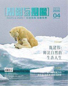 摄影与摄像