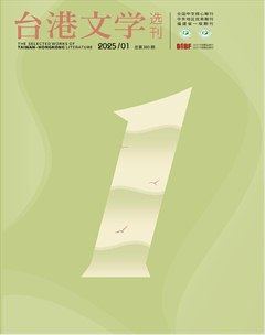 台港文学选刊