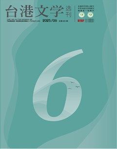 台港文学选刊