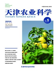 2023年第5期