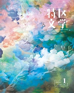 特区文学