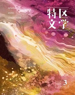 特区文学