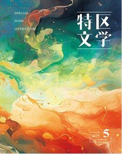 特區(qū)文學(xué)