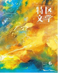 特区文学