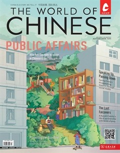 汉语世界(The World of Chinese)