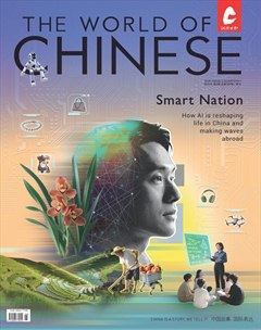 汉语世界(The World of Chinese)